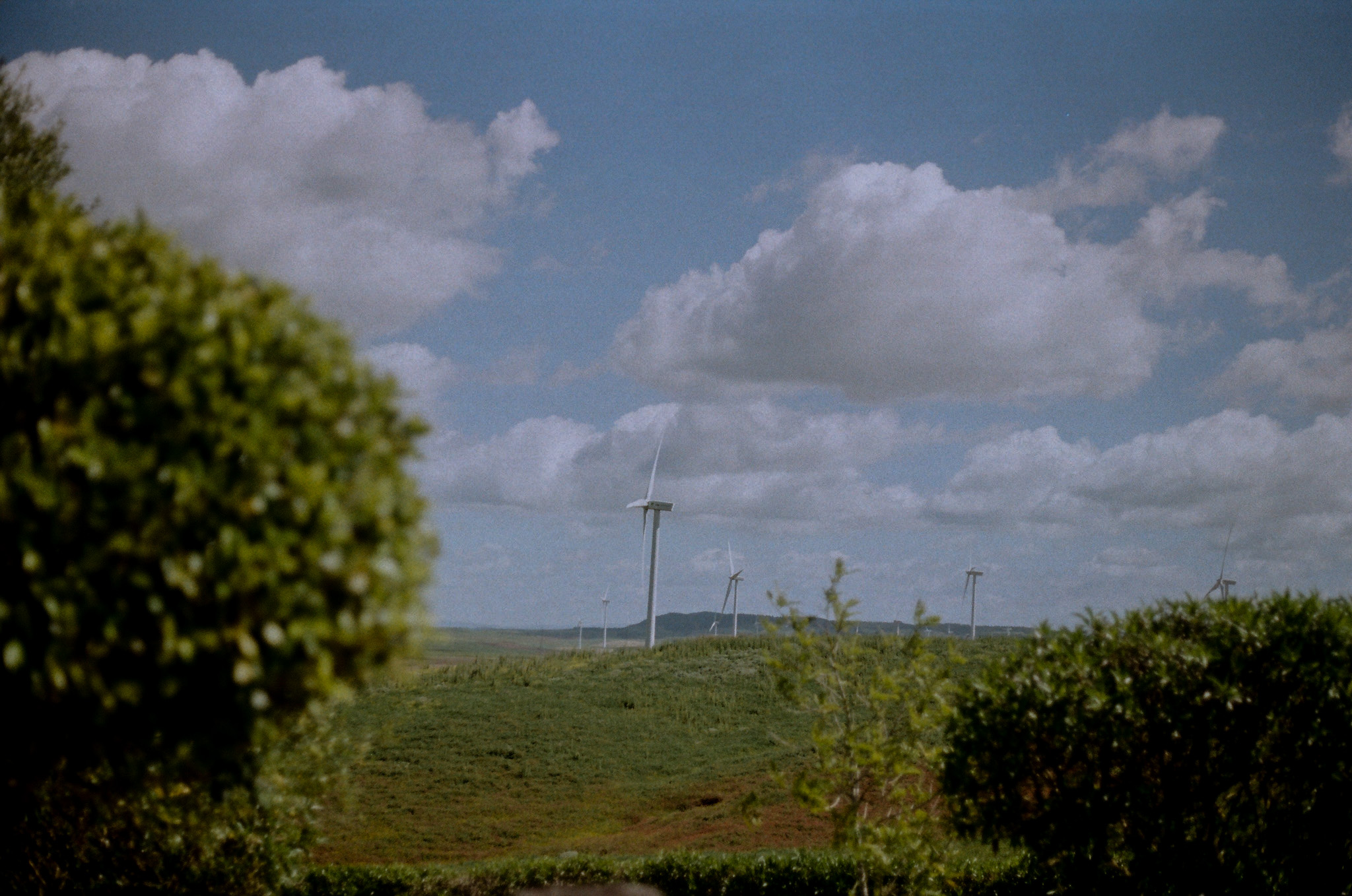 color-film - 9.jpg